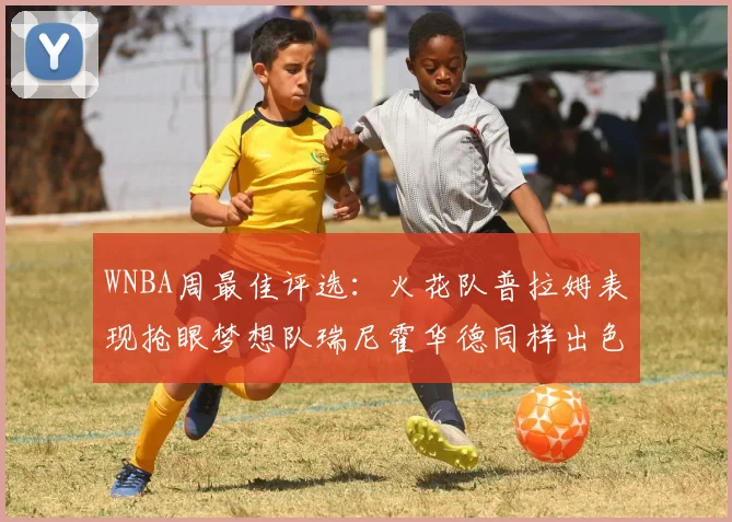 WNBA周最佳评选：火花队普拉姆表现抢眼梦想队瑞尼霍华德同样出色